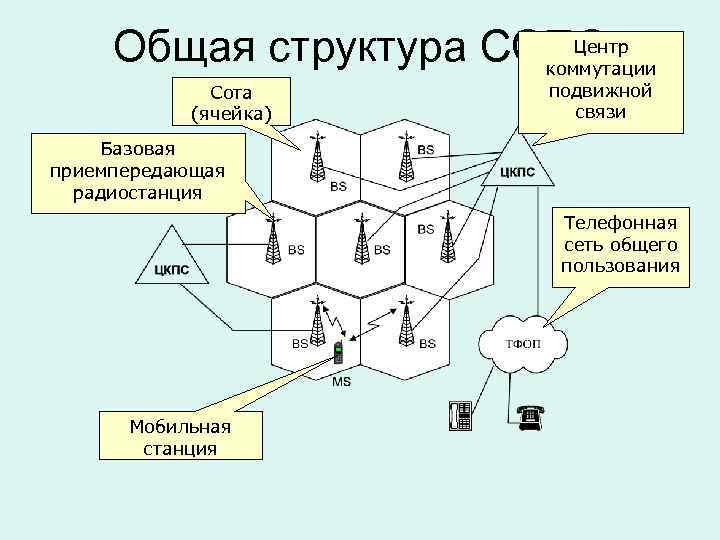 Ячейки общества схема