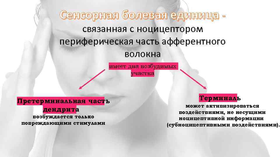 Сенсорная болевая единица - связанная с ноцицептором периферическая часть афферентного волокна имеет два возбудимых