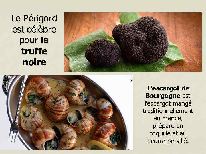 Le Périgord est célèbre pour la truffe noire L'escargot de Bourgogne est l'escargot mangé