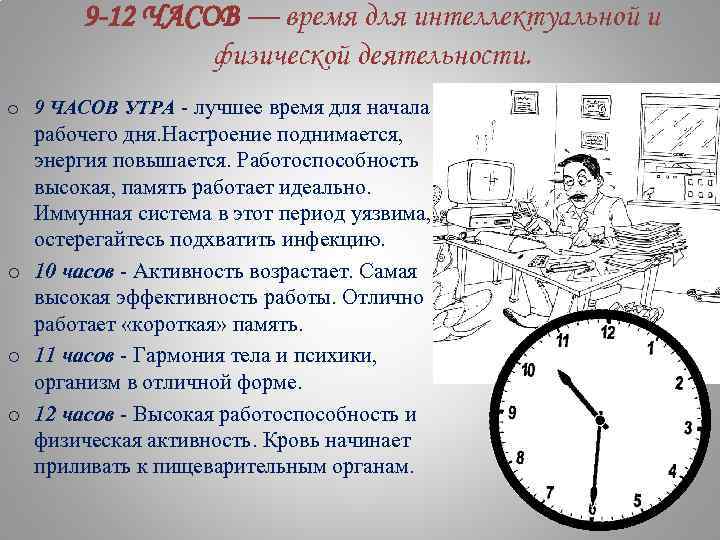 Время 9 часов утра. Лучшее время для умственной работы. Время суток наиболее благоприятное для умственной работы. Лучшее время для работы. Лучшее время для умственной активности.