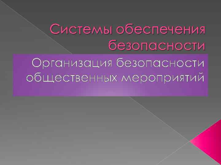 Системы обеспечения безопасности Организация безопасности общественных мероприятий 