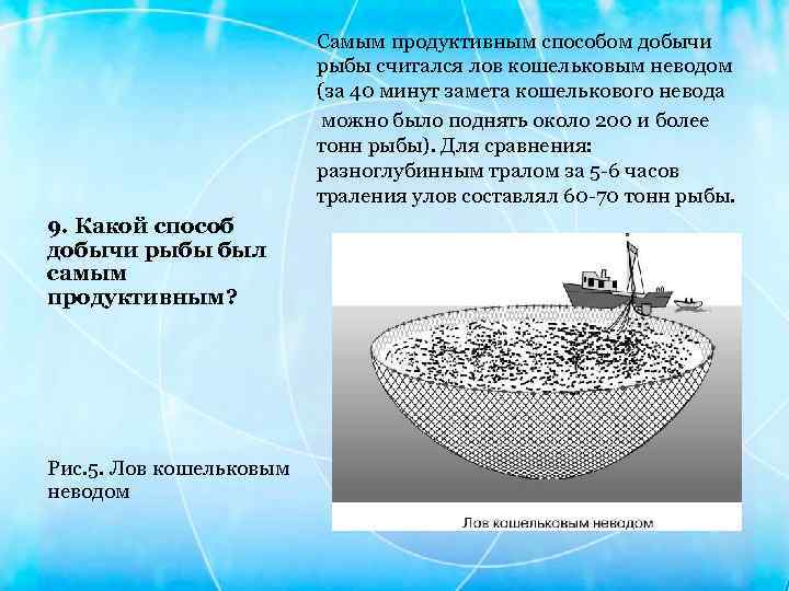 Самым продуктивным способом добычи рыбы считался лов кошельковым неводом (за 40 минут замета кошелькового