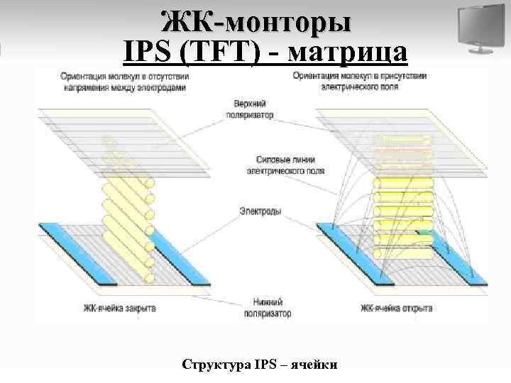 Ips матрица. Строение IPS матрицы. IPS матрица схема. TN матрица схема. Строение IPS дисплея.