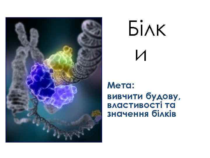 Білк и Мета: вивчити будову, властивості та значення білків 