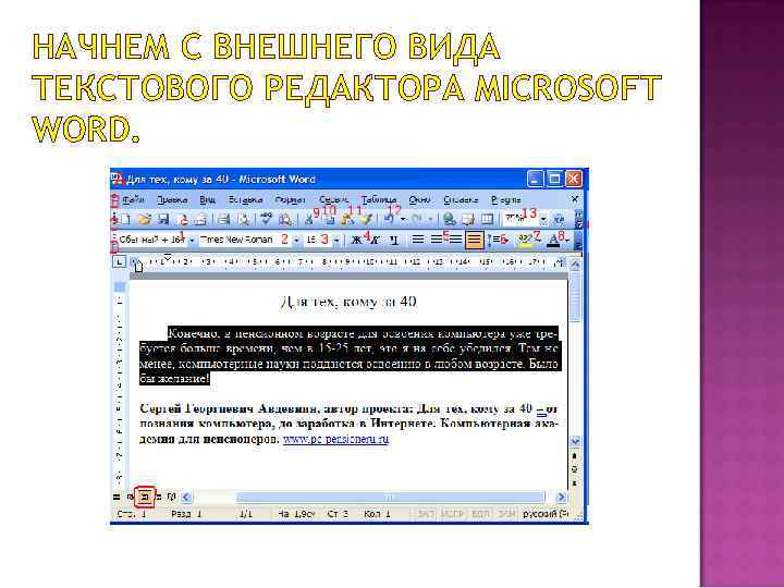 НАЧНЕМ С ВНЕШНЕГО ВИДА ТЕКСТОВОГО РЕДАКТОРА MICROSOFT WORD. 