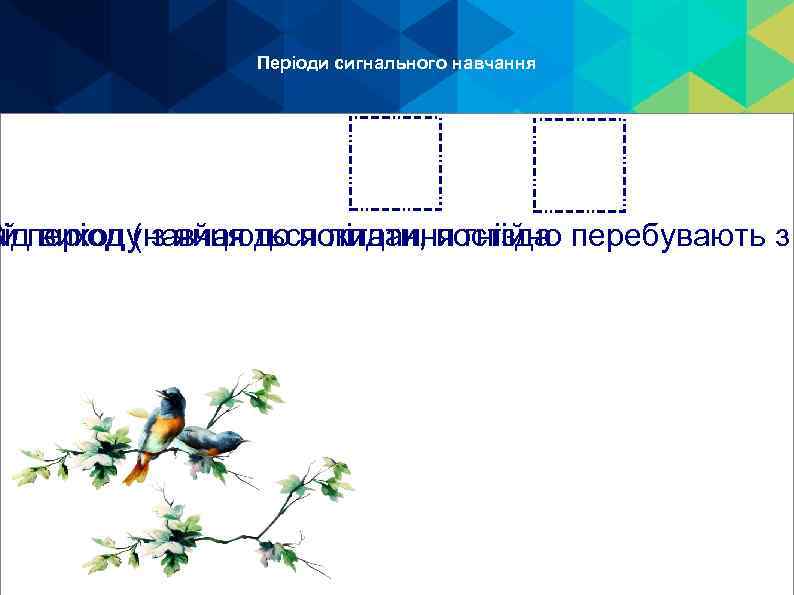 Періоди сигнального навчання ий період (навчаються літати, постійно перебувають з Від виходу з яйця