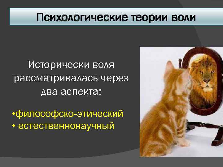 Автор ресурсной концепции воли. Теории воли. Теории воли в психологии. Воля теории воли. Гетерономные теории воли.