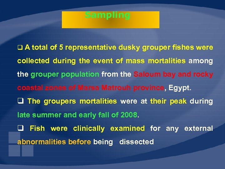 Sampling q A total of 5 representative dusky grouper fishes were collected during the