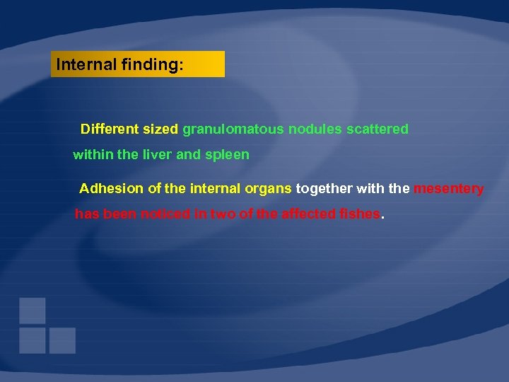 Internal finding: Different sized granulomatous nodules scattered within the liver and spleen Adhesion of