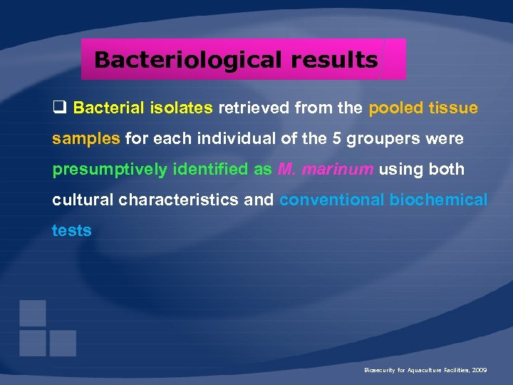 Bacteriological results q Bacterial isolates retrieved from the pooled tissue samples for each individual