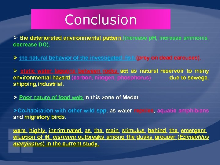Conclusion Ø the deteriorated environmental pattern (increase p. H, increase ammonia, decrease DO). Ø