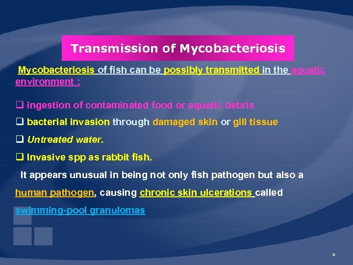 Transmission of Mycobacteriosis of fish can be possibly transmitted in the aquatic environment :