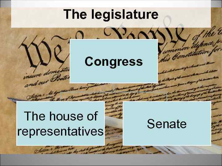 The legislature Congress The house of representatives Senate 