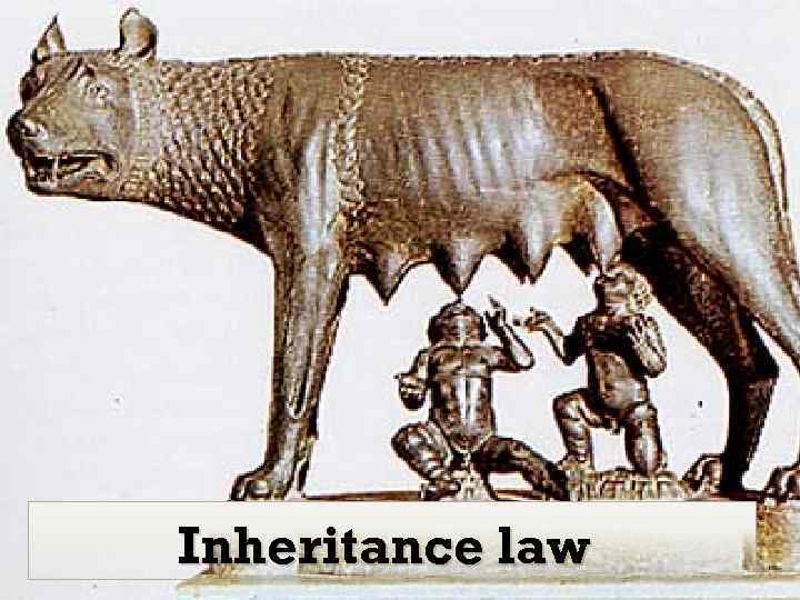 Inheritance law 