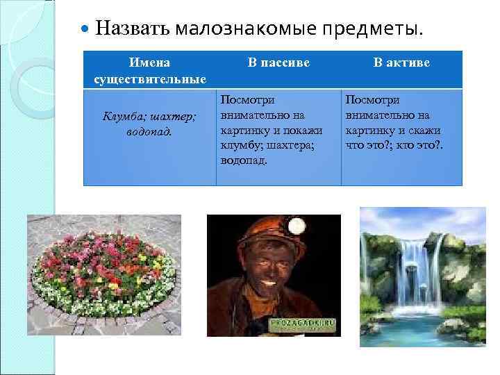  Назвать малознакомые предметы. Имена существительные Клумба; шахтер; водопад. В пассиве Посмотри внимательно на