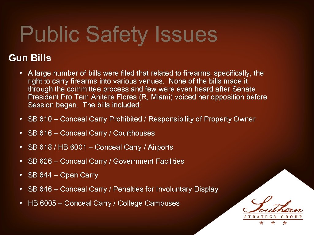 Public Safety Issues Gun Bills • A large number of bills were filed that