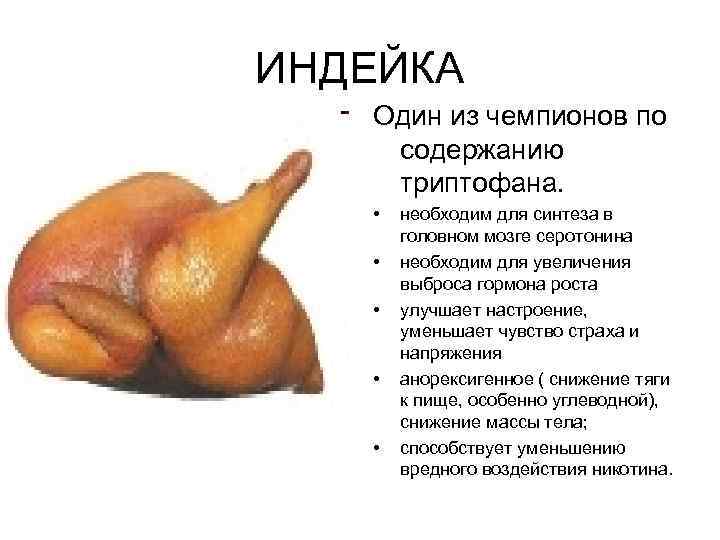 ИНДЕЙКА Один из чемпионов по содержанию триптофана. • • • необходим для синтеза в