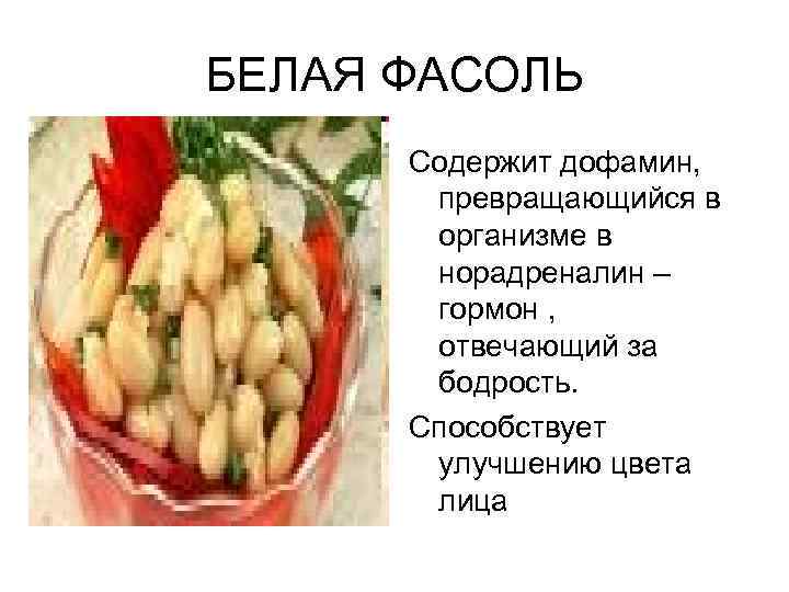 БЕЛАЯ ФАСОЛЬ Содержит дофамин, превращающийся в организме в норадреналин – гормон , отвечающий за