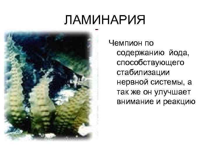 ЛАМИНАРИЯ Чемпион по содержанию йода, способствующего стабилизации нервной системы, а так же он улучшает