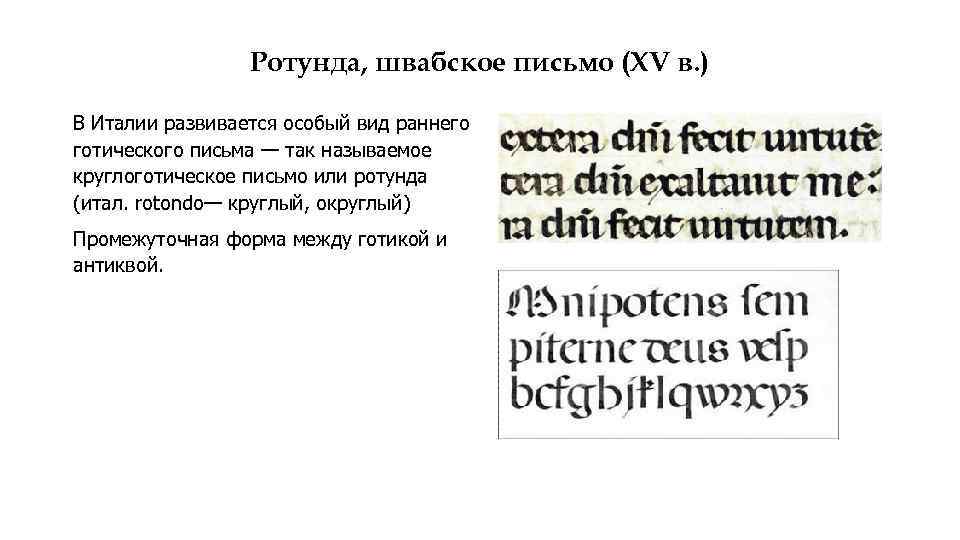 Ротунда, швабское письмо (XV в. ) В Италии развивается особый вид раннего готического письма