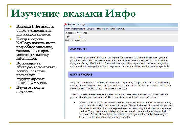 Изучение вкладки Инфо n n Вкладка Information, должна заполняться для каждой модели. Каждая модель