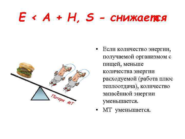 Е < А + Н, S - снижается • Если количество энергии, получаемой организмом