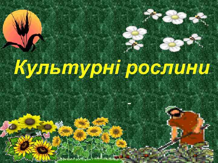 Культурні рослини 