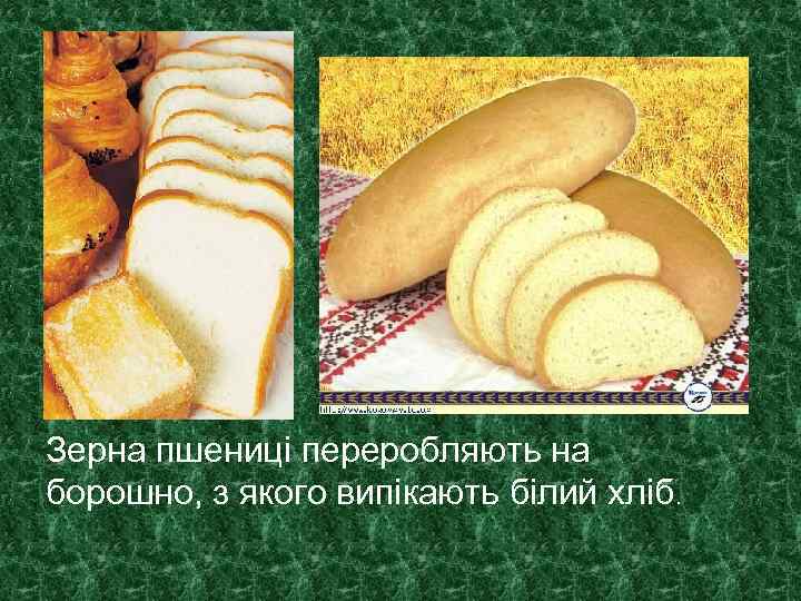 Зерна пшениці переробляють на борошно, з якого випікають білий хліб. 