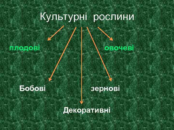 Культурні рослини плодові Бобові овочеві зернові Декоративні 