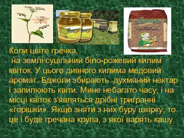 Коли цвіте гречка, на землі суцільний біло-рожевий килим квіток. У цього дивного килима медовий