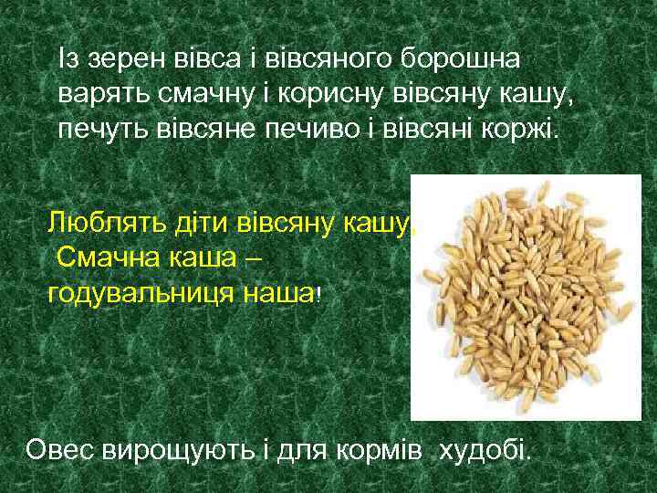 Із зерен вівса і вівсяного борошна варять смачну і корисну вівсяну кашу, печуть вівсяне