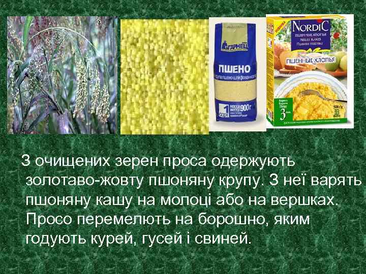 З очищених зерен проса одержують золотаво-жовту пшоняну крупу. З неї варять пшоняну кашу на