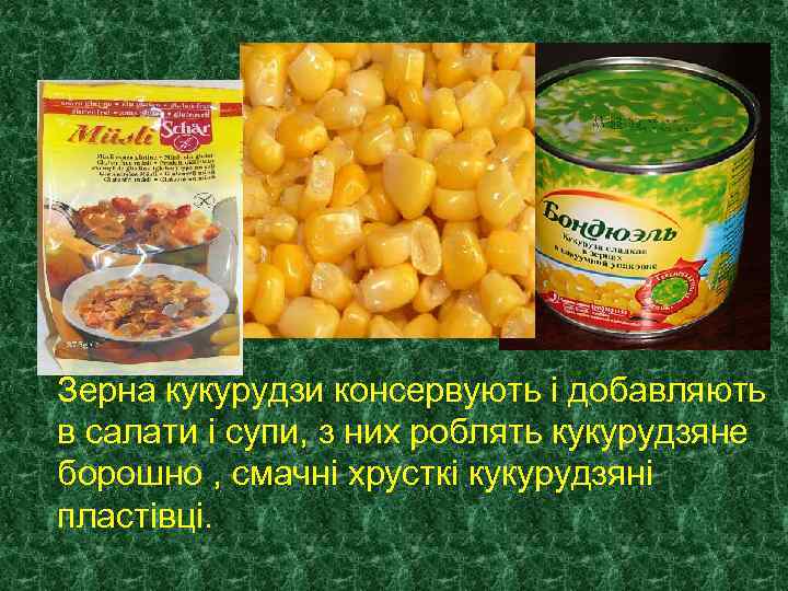 Зерна кукурудзи консервують і добавляють в салати і супи, з них роблять кукурудзяне борошно