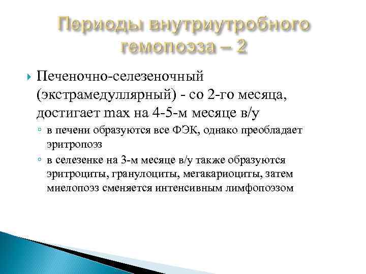  Печеночно-селезеночный (экстрамедуллярный) - со 2 -го месяца, достигает max на 4 -5 -м