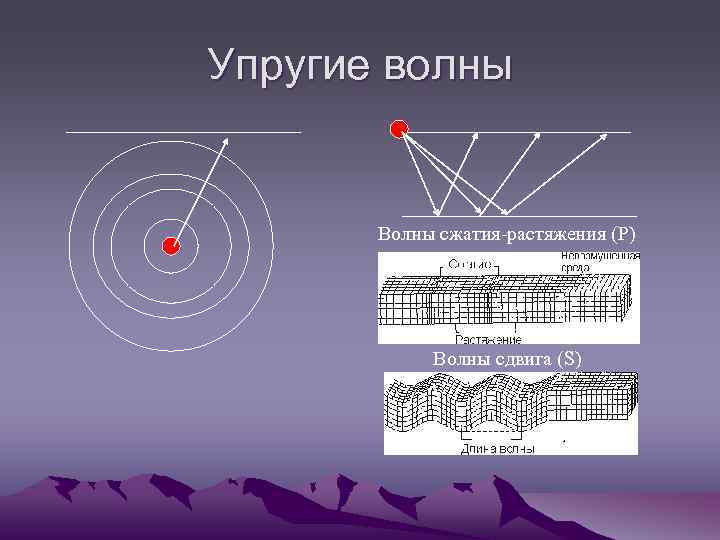 Упругие волны Волны сжатия-растяжения (P) Волны сдвига (S) 