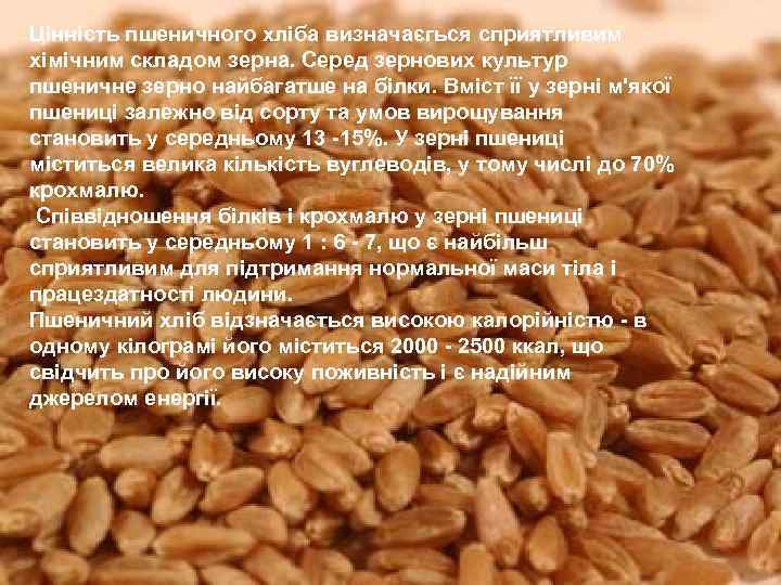 Цінність пшеничного хліба визначаєгься сприятливим хімічним складом зерна. Серед зернових культур пшеничне зерно найбагатше