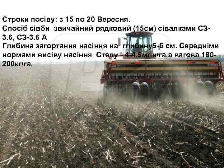 Строки посіву: з 15 по 20 Вересня. Спосіб сівби звичайний рядковий (15 см) сівалками