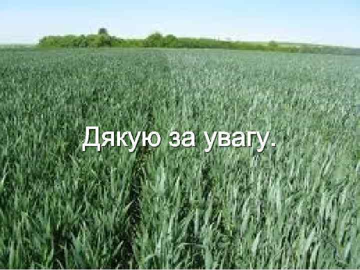 Дякую за увагу. 