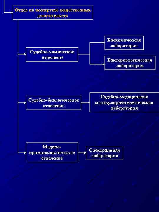 Судебная медицина в схемах и рисунках пашинян