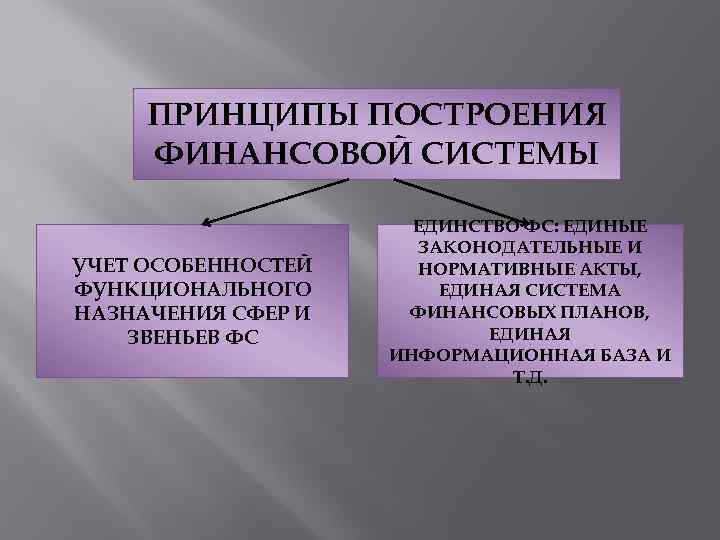 ПРИНЦИПЫ ПОСТРОЕНИЯ ФИНАНСОВОЙ СИСТЕМЫ УЧЕТ ОСОБЕННОСТЕЙ ФУНКЦИОНАЛЬНОГО НАЗНАЧЕНИЯ СФЕР И ЗВЕНЬЕВ ФС ЕДИНСТВО ФС: