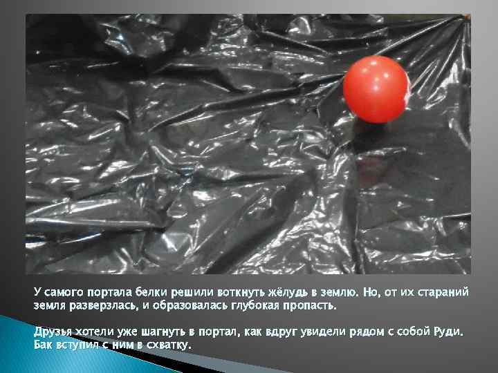 У самого портала белки решили воткнуть жёлудь в землю. Но, от их стараний земля