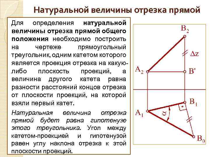 Проекция отрезка на прямую