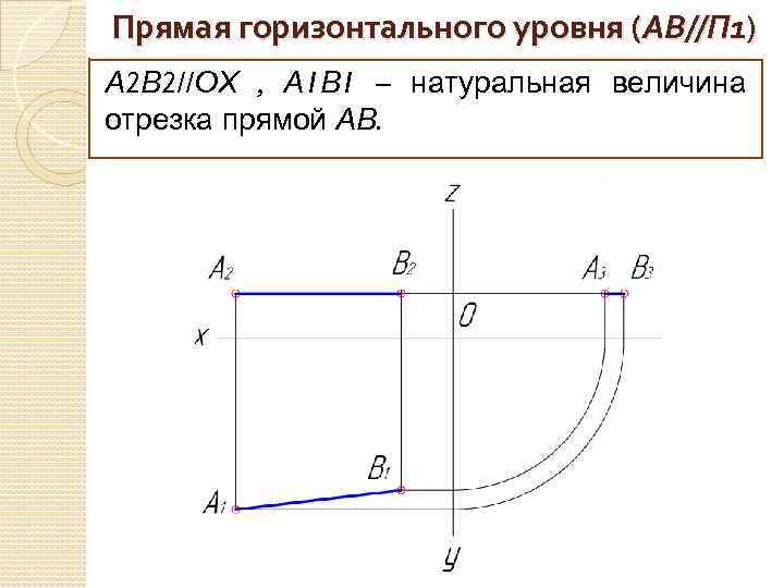 Прямая горизонтального уровня (АВ//П 1) А 2 В 2//ОХ , А 1 В 1