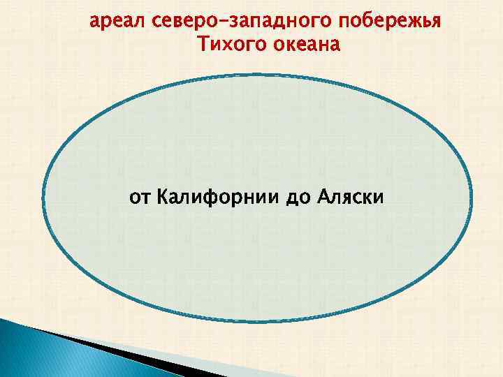 Презентация на тему лингвистическая география сколько языков в мире