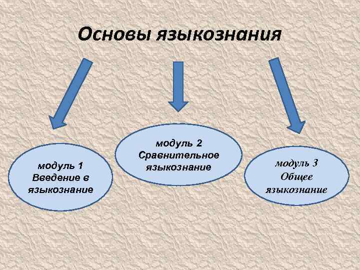 Языкознание 3