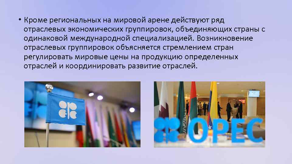  • Кроме региональных на мировой арене действуют ряд отраслевых экономических группировок, объединяющих страны