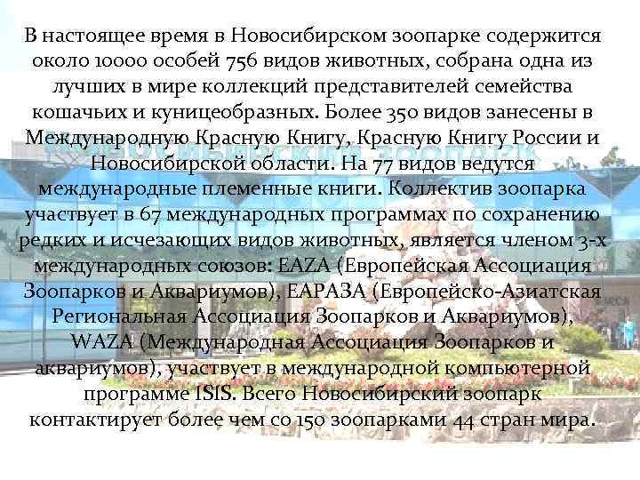 В настоящее время в Новосибирском зоопарке содержится около 10000 особей 756 видов животных, собрана