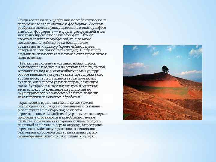 Среди минеральных удобрений по эффективности на первом месте стоят азотные и фосфорные. Азотные удобрения