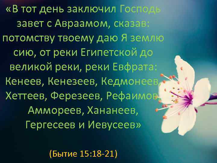  «В тот день заключил Господь завет с Авраамом, сказав: потомству твоему даю Я