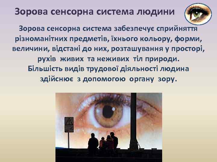Зорова сенсорна система людини Зорова сенсорна система забезпечує сприйняття різноманітних предметів, їхнього кольору, форми,